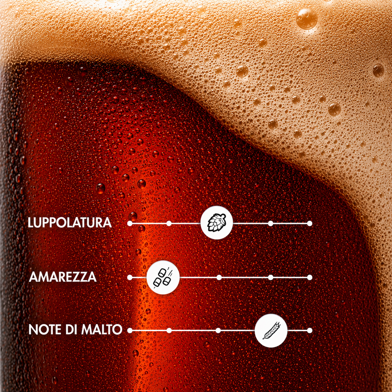 CRI-TICA – Strong Ale Artigianale | TeddyBier