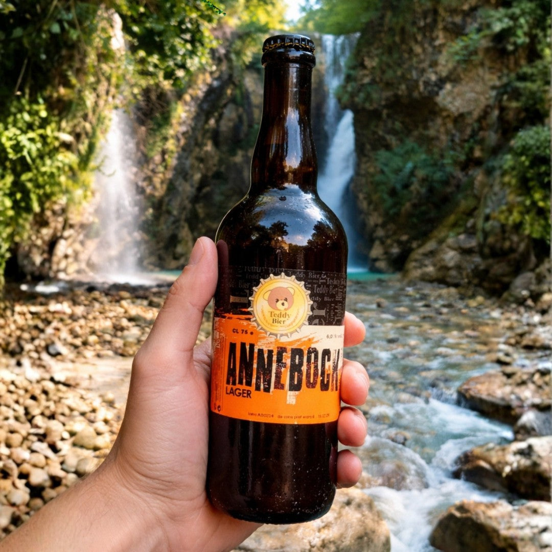 Annebock - La storica di casa TeddyBier