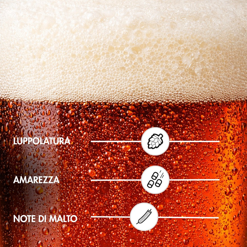 ANNEBOCK – Birra Lager Bock Artigianale | TeddyBier