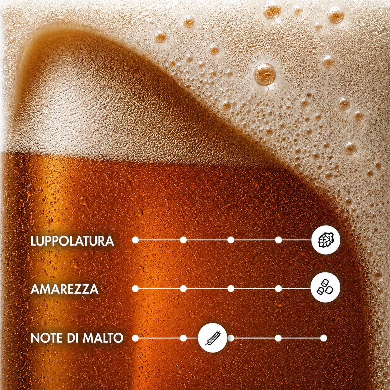 GIULIPA – IPA Artigianale del Trentino