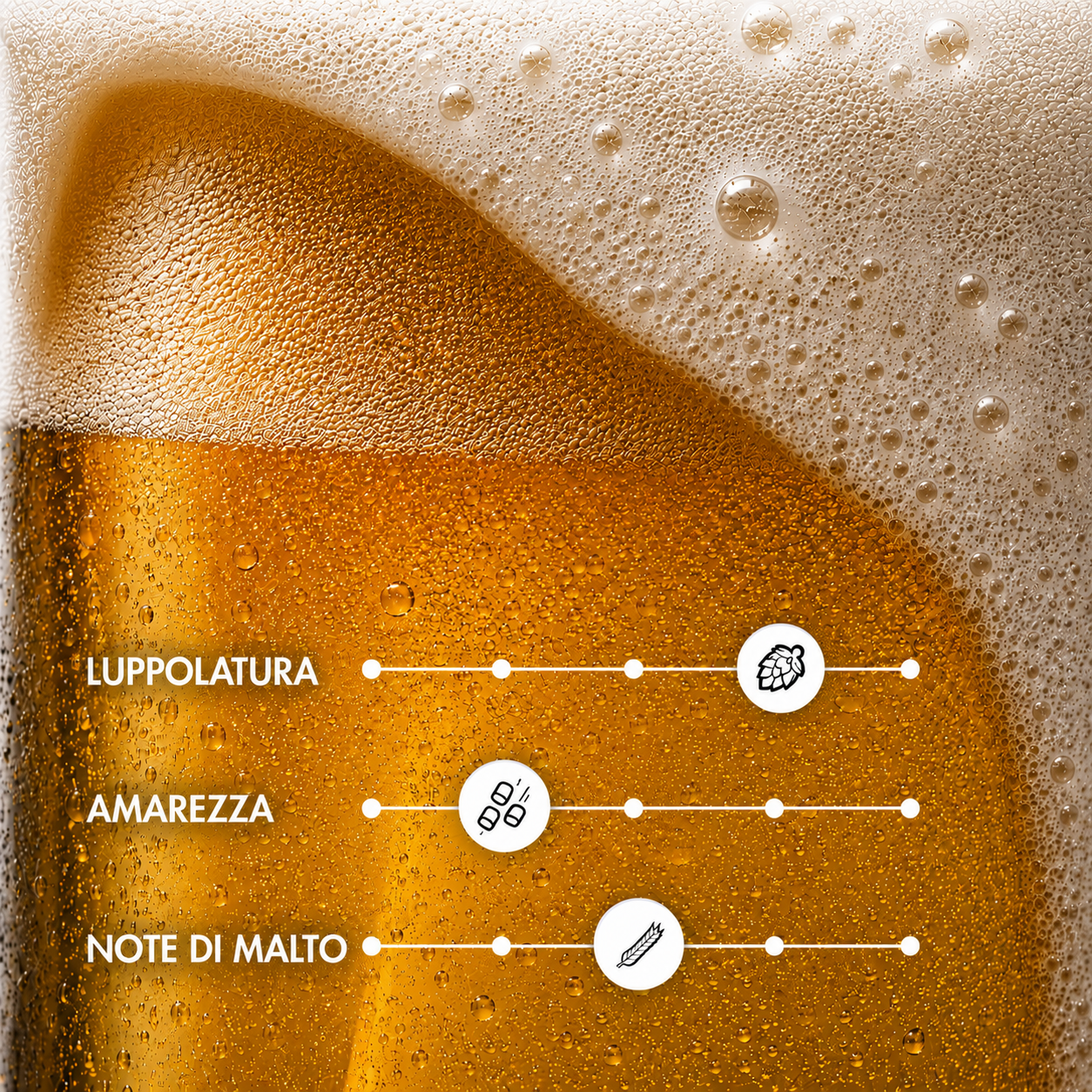 GLIRA – Birra Pale Ale Artigianale | TeddyBier
