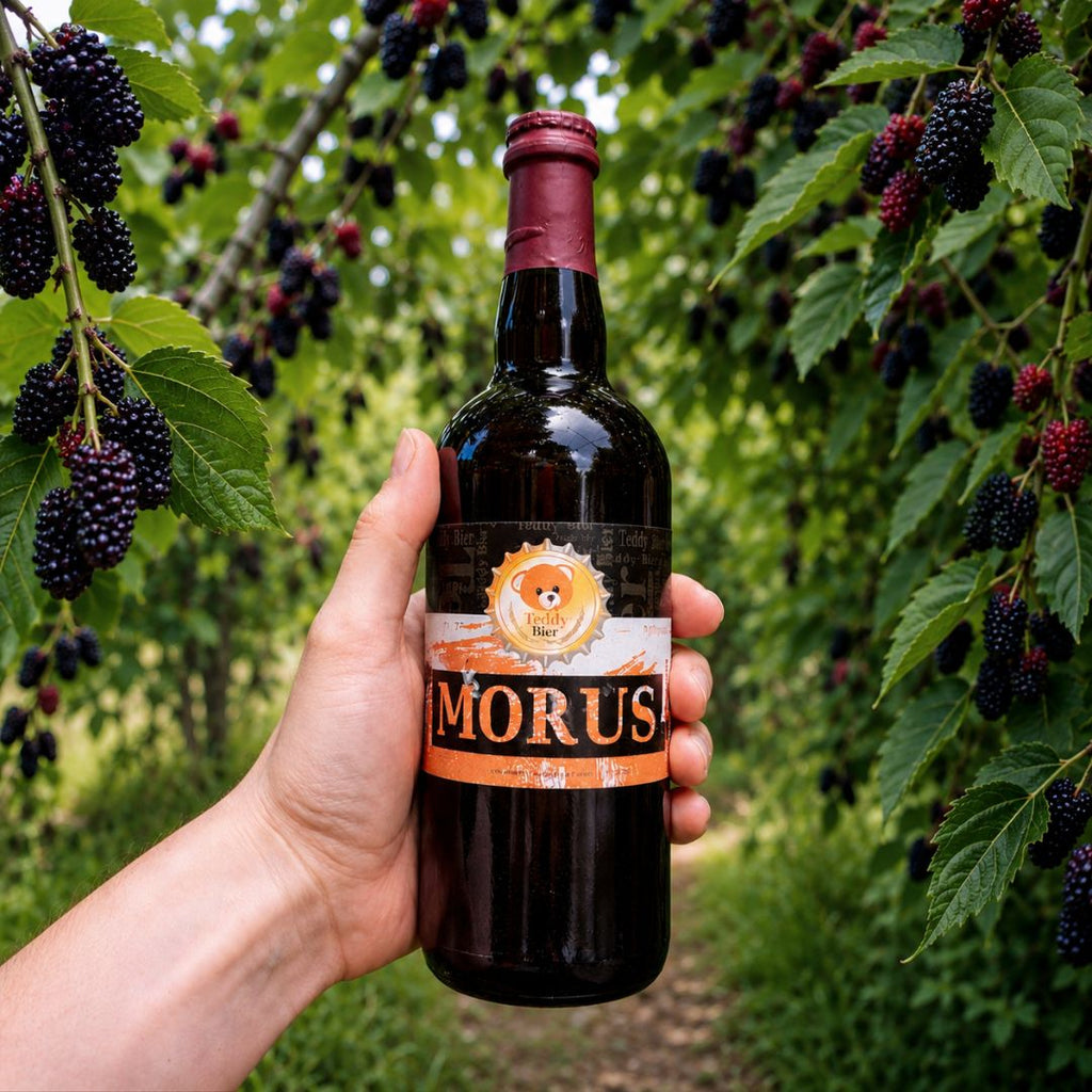 MORUS – Birra Artigianale Saison alla Mora di Gelso | TeddyBier