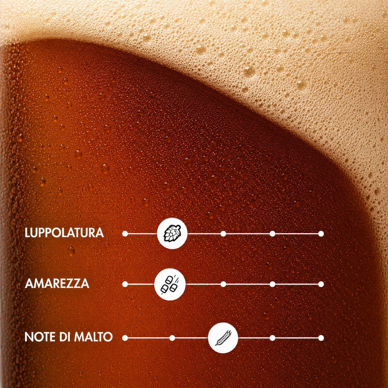 MORUS – Birra Artigianale Saison alla Mora di Gelso | TeddyBier
