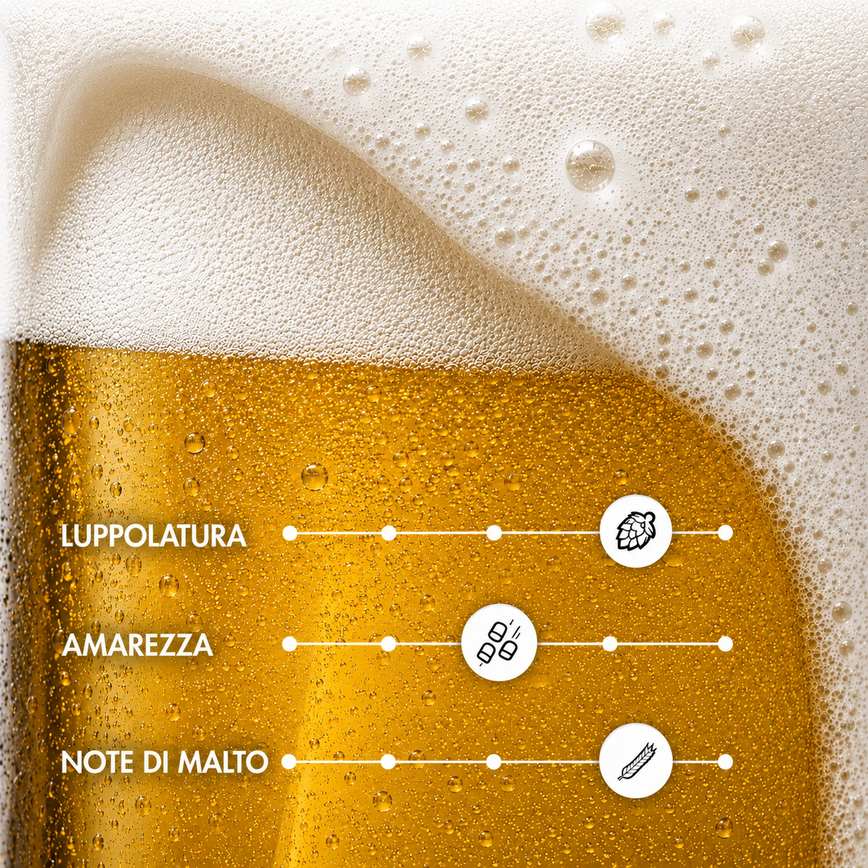 NICLOÒ ZIRMOLO – Belgian Blond Ale al Cirmolo | TeddyBier