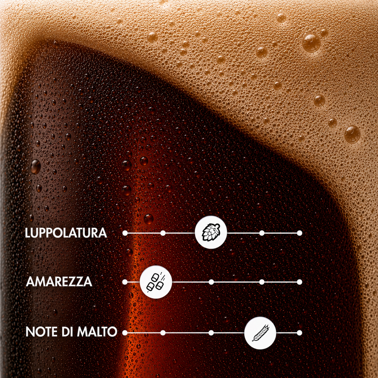 STAZ – Lager Dunkel Artigianale | TeddyBier