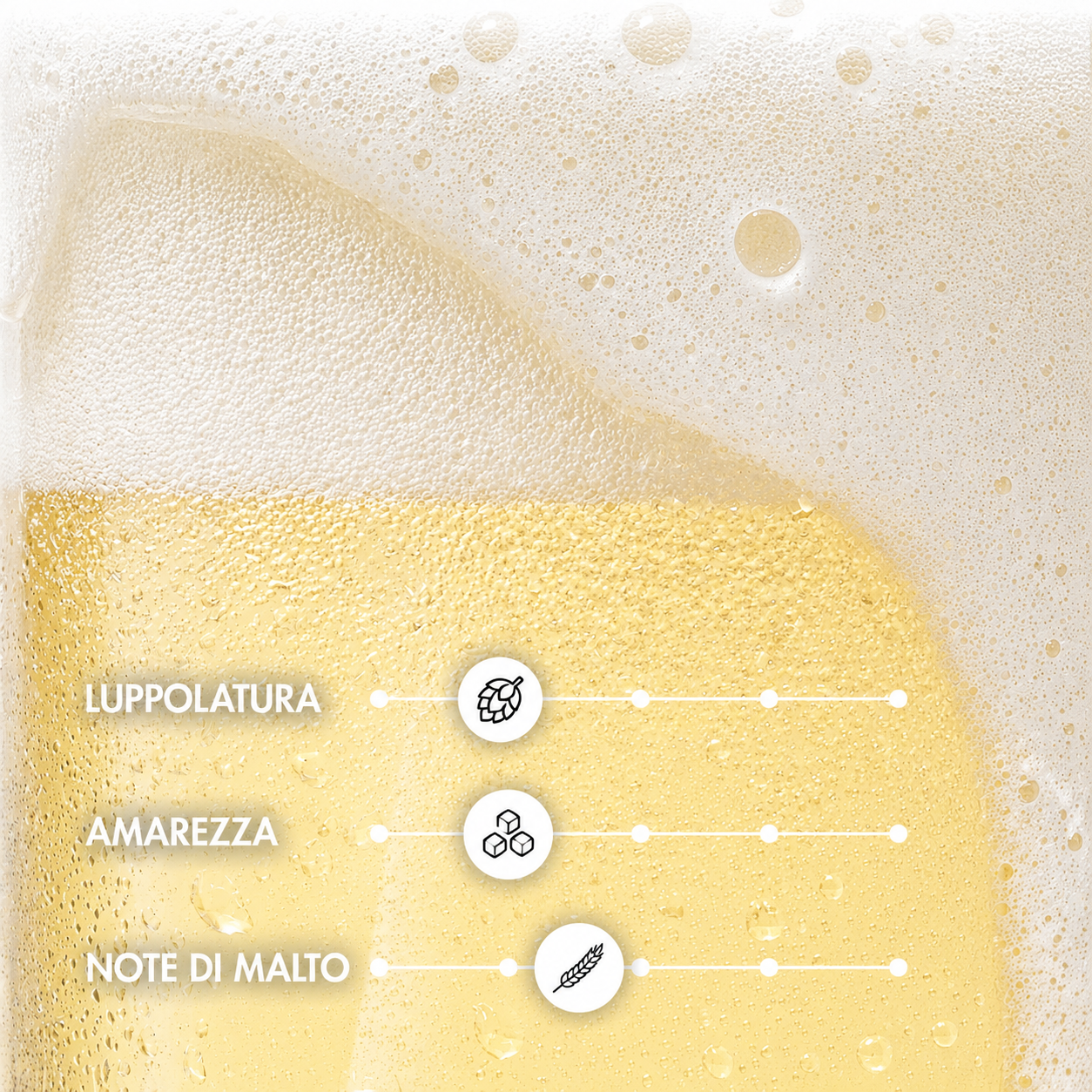 TK BLANCHE – Birra Blanche Artigianale | TeddyBier