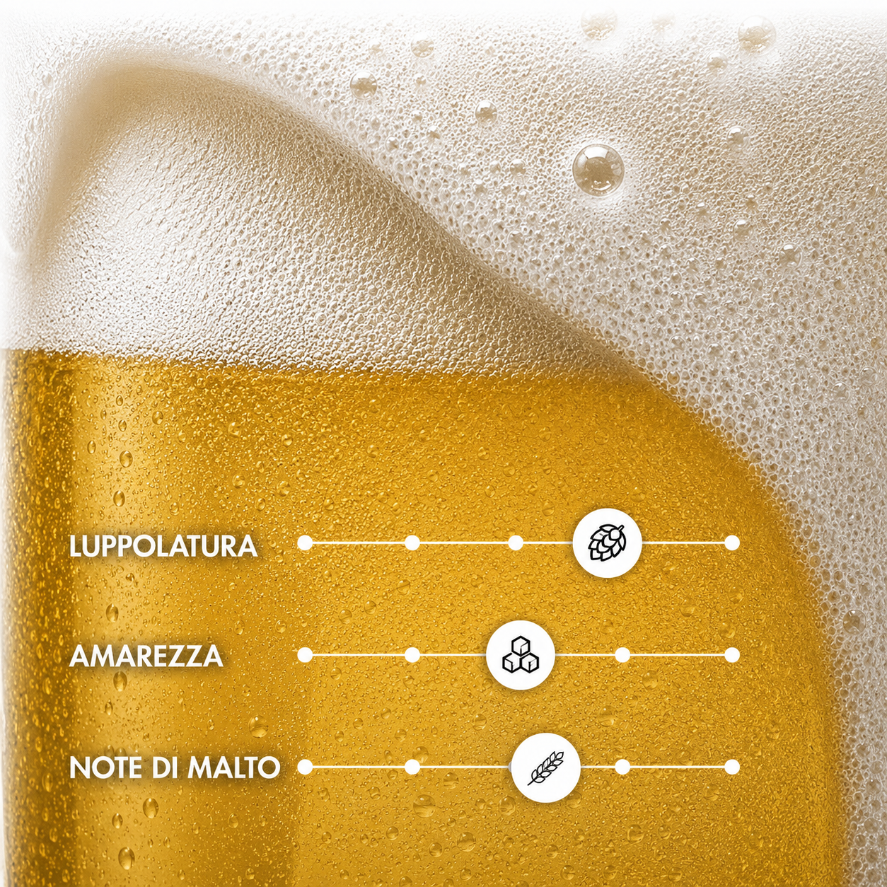 TILS – Lager Pils Artigianale | TeddyBier