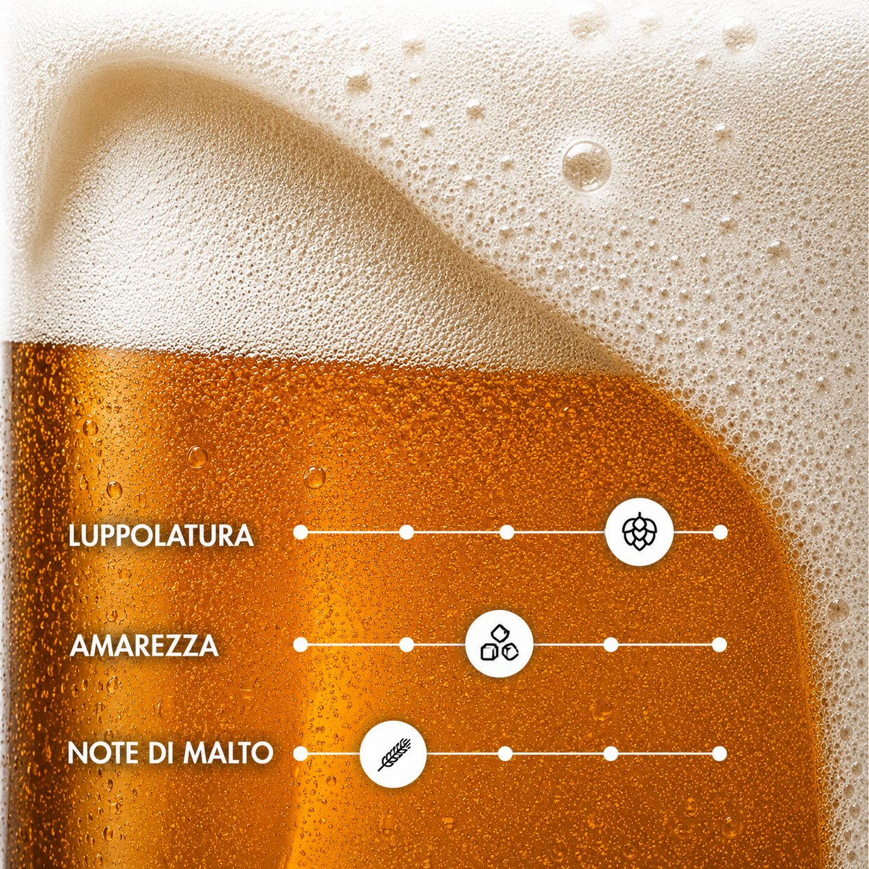 INCLINATA – West Coast Ale Artigianale | TeddyBier